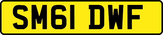 SM61DWF