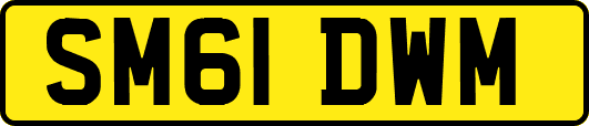 SM61DWM