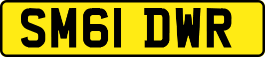 SM61DWR