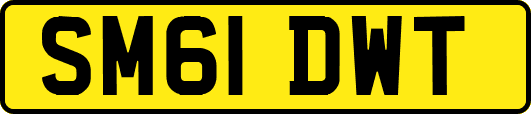 SM61DWT