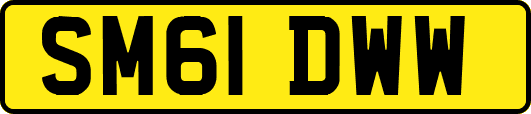 SM61DWW