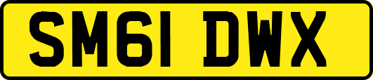 SM61DWX