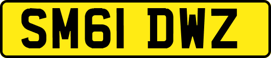 SM61DWZ
