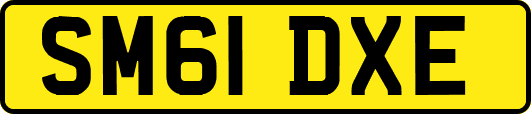 SM61DXE