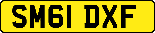 SM61DXF