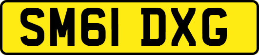 SM61DXG