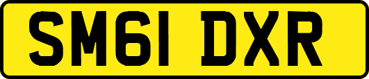 SM61DXR