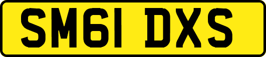 SM61DXS