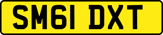 SM61DXT