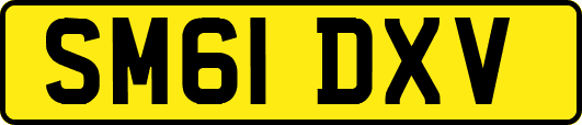 SM61DXV