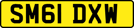 SM61DXW
