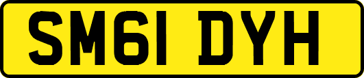 SM61DYH
