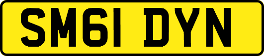 SM61DYN