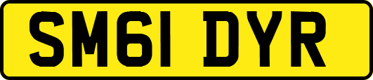SM61DYR