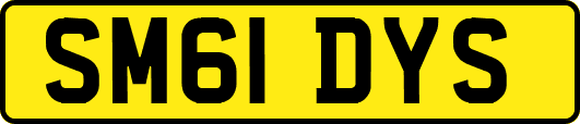 SM61DYS