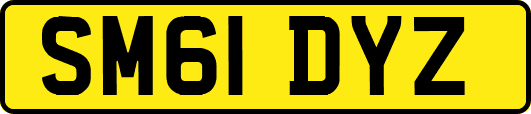 SM61DYZ