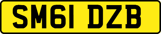 SM61DZB