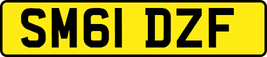 SM61DZF
