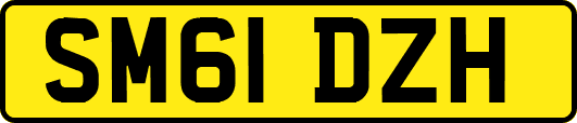 SM61DZH