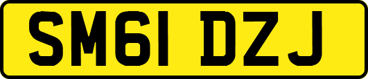 SM61DZJ
