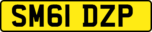 SM61DZP