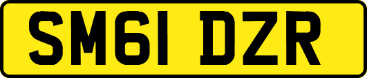SM61DZR