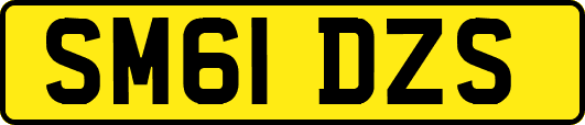 SM61DZS