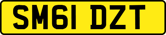 SM61DZT