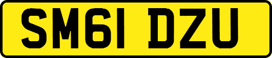 SM61DZU