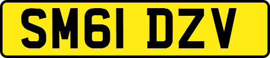 SM61DZV