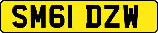 SM61DZW