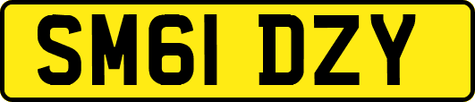 SM61DZY