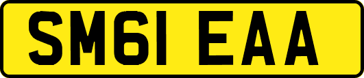 SM61EAA