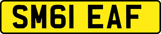SM61EAF