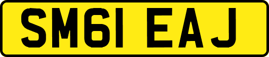 SM61EAJ
