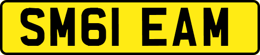 SM61EAM