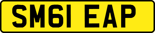 SM61EAP