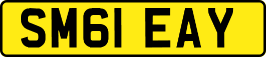 SM61EAY