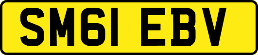 SM61EBV