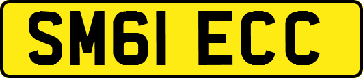 SM61ECC
