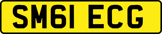 SM61ECG