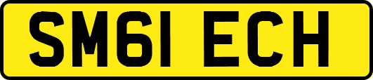 SM61ECH
