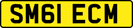 SM61ECM