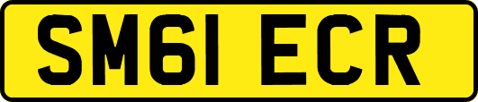 SM61ECR