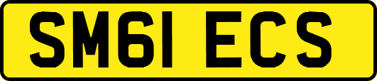 SM61ECS