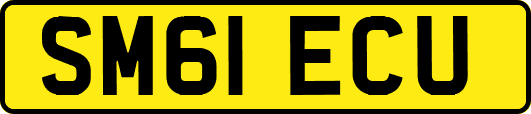 SM61ECU