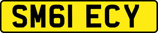 SM61ECY