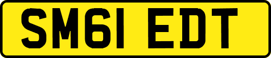 SM61EDT
