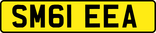 SM61EEA