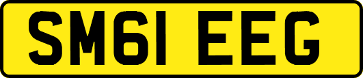 SM61EEG